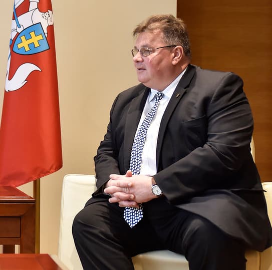 L. Linkevičius. Nuotr. urm.lt