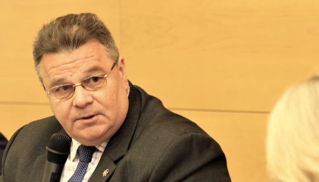 L. Linkevičius. Nuotr. urm.lt