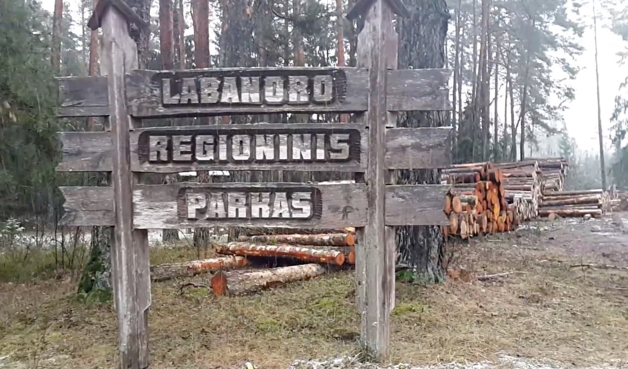 Kalėdiniai vaizdai iš Labanoro girios