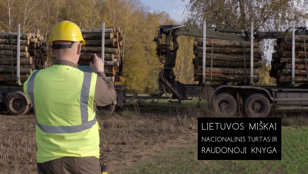 Sukurtas filmas skirtas šalies nacionaliniam turtui – miškams ir jų Raudonajai knygai
