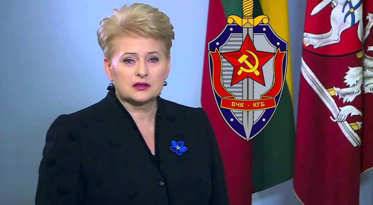 Seimo nariui N. Puteikiui užkliuvo Lietuvos prezidentės D. Grybauskaitės mokslai KGB mokykloje