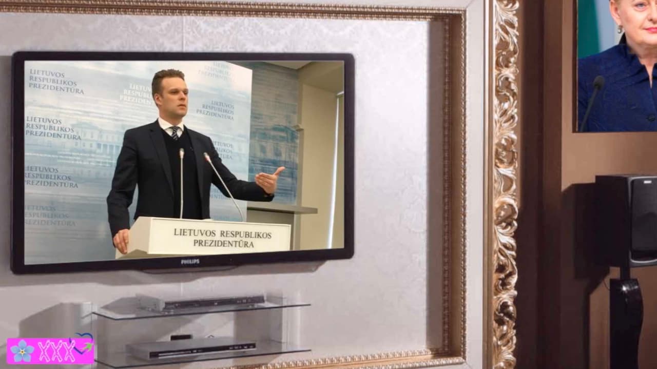 G. Landsbergis kuria atsakingų partijų branduolį, nes žmonės nori ramios, normalios politikos