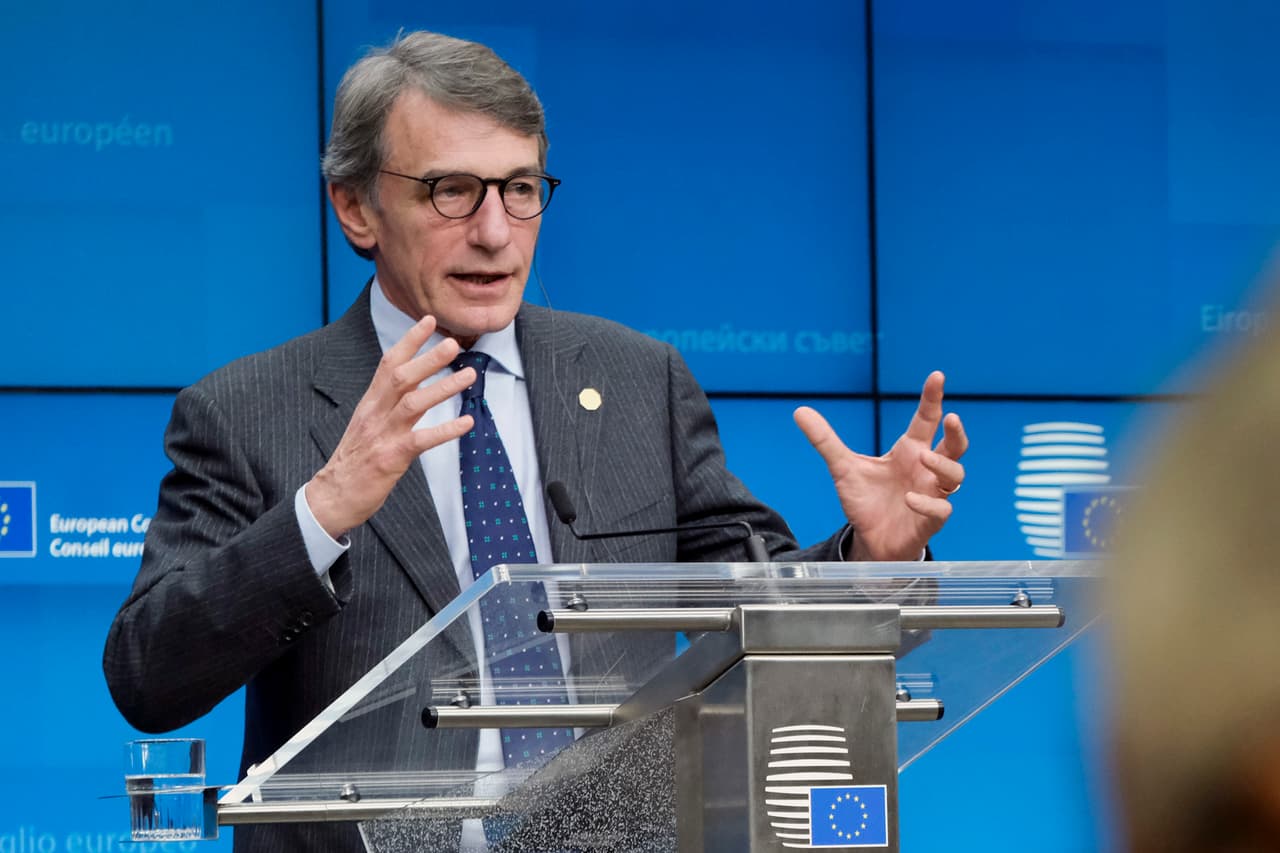 D. Sasolis. Europarl.europa.eu nuotr.