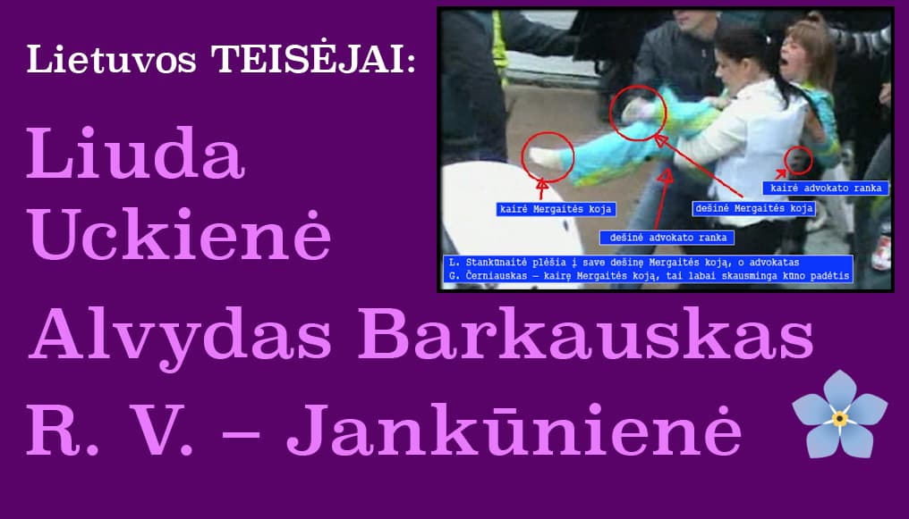 Lietuvos teismas: Deimantės Kedytės atžvilgiu prievarta nebuvo naudojama