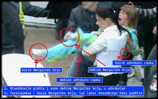 Teismui duotas įsakymas mane nuteisti bet kokia kaina