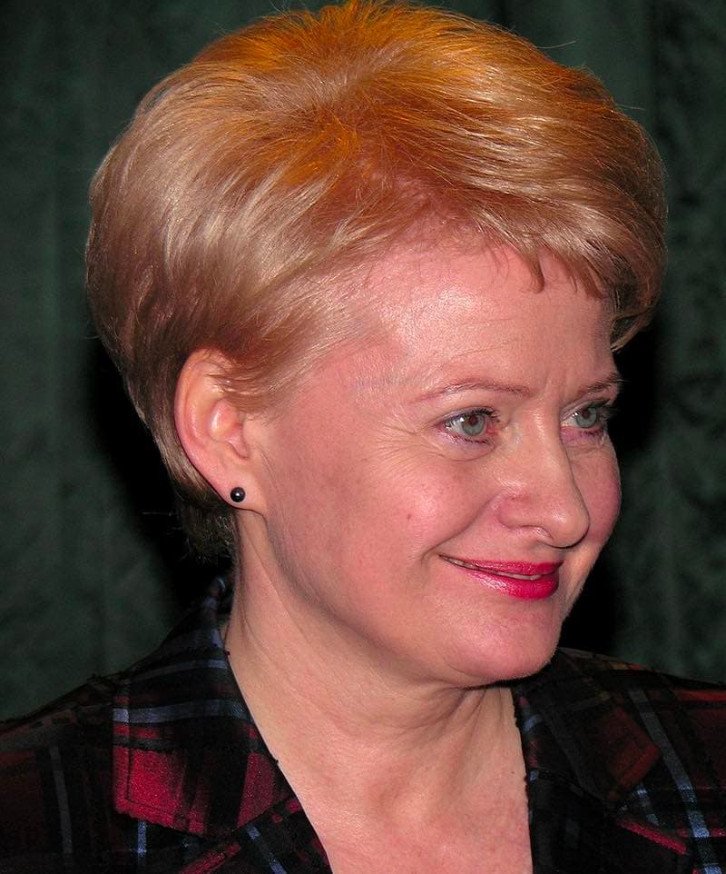 Kaip A. Kubilius žydų pedofilui dovanojo „Lietuvos kurą“, o D. Grybauskaitė dar 18 mln. litų iš biudžeto
