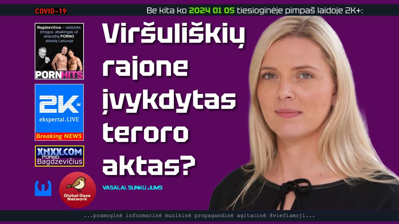 Nebegalim apsimetinėti, kad mes to nesuvokiam, teigia E. Vaitkus
