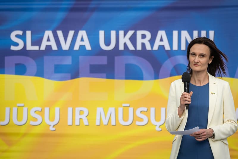 V. Čmilytė-Nielsen. Nuotr. lrs.lt