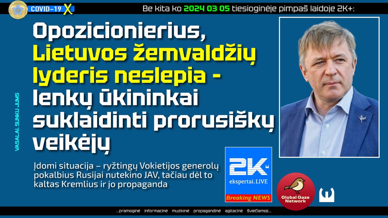 Ginkluotės ekspertas davė pamoką Gabrieliui Landsbergiui – palygino Niujorką ir Lietuvą