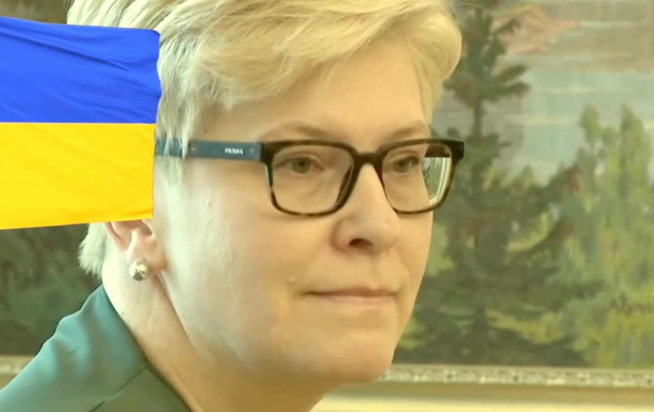 Negebėjimas dideliu tempu įsisavinti pinigų, lėmė Anušausko liūdną baigtį ministro poste