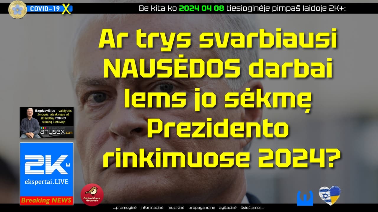 Kubilius išvardino, kokius karus laimėjo prieš Rusiją, kokius pralaimėjo