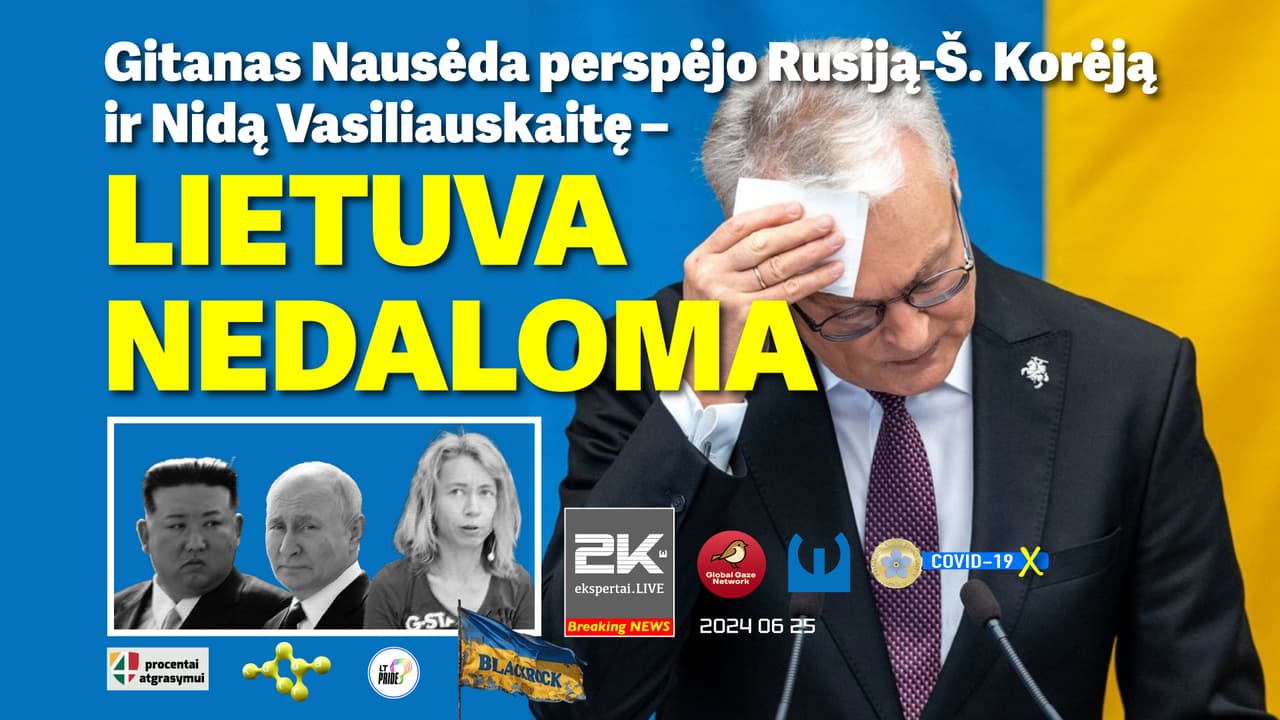 Nausėda: neturi būti Pirmos, Antros ar Trečios Lietuvos