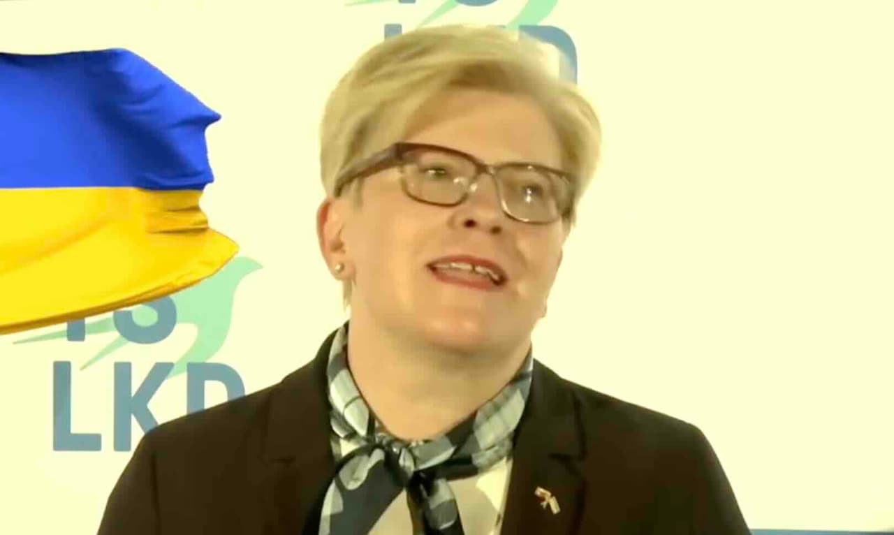 Šimonytė atskleidė, kodėl reikia balsuoti už Landsbergių partiją Seimo rinkimuose