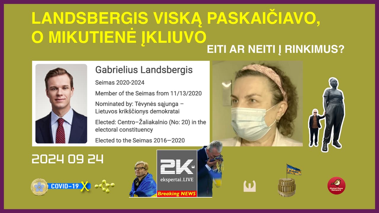 Landsbergis paskaičiavo ir paviešino paveiksliuką