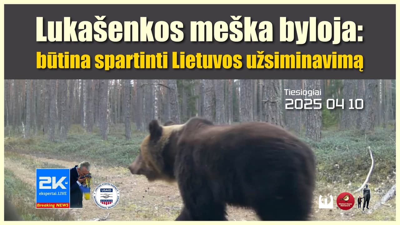 Lukašenkos meška byloja: būtina spartinti Lietuvos užsiminavimą ir plėsti tvorų infrastruktūrą