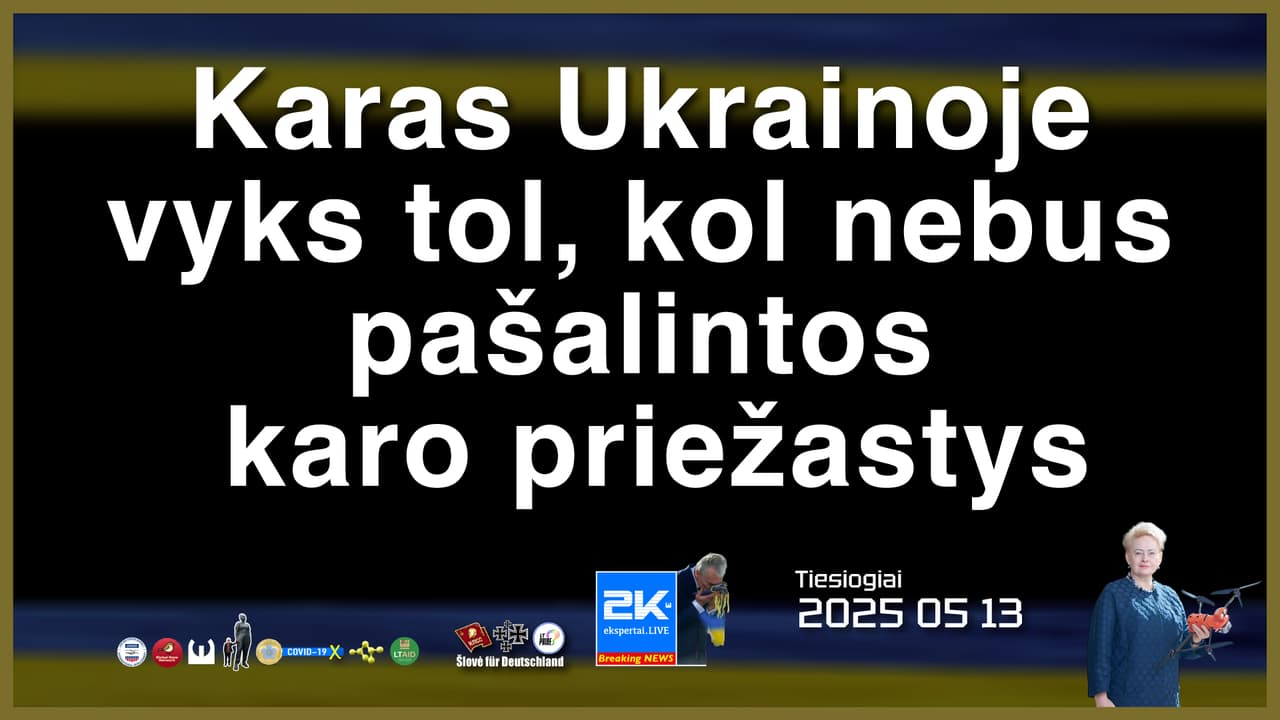 Kol nepašalintos tikrosios karo Ukrainoje priežastys, žudynės tęsis be galo, be krašto