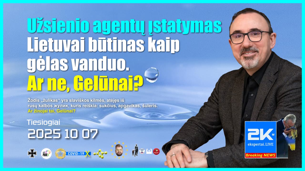 Sunku patikėti, kad Paleckis toks neišsilavinęs, tarsi koks Žalimas