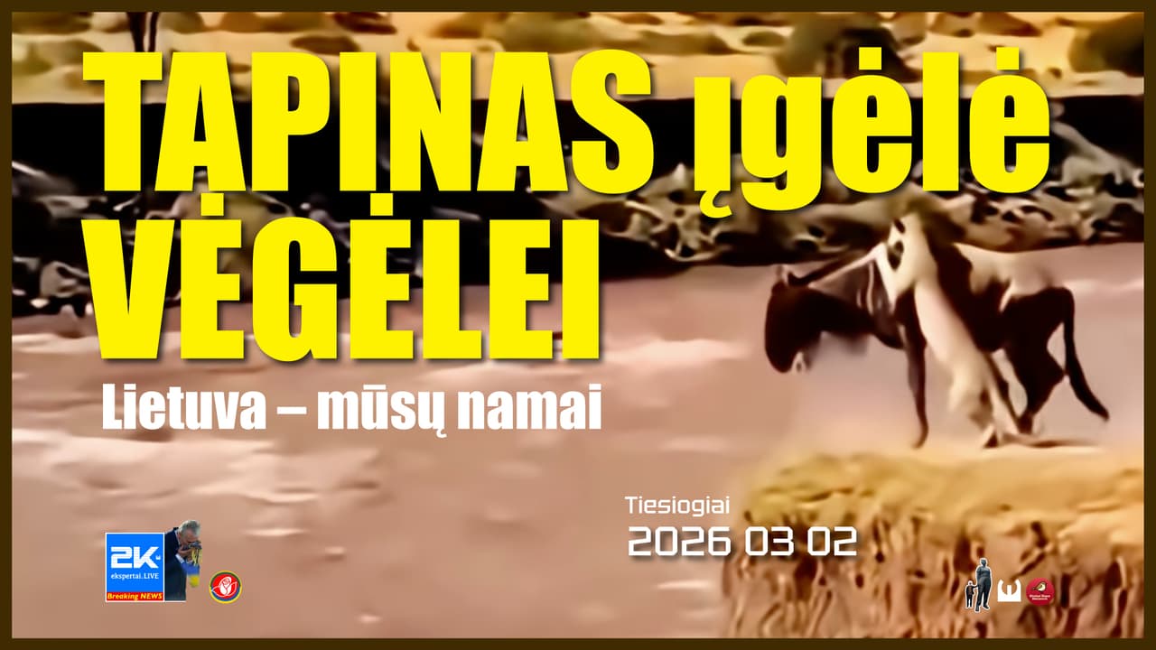 Vienybės programa