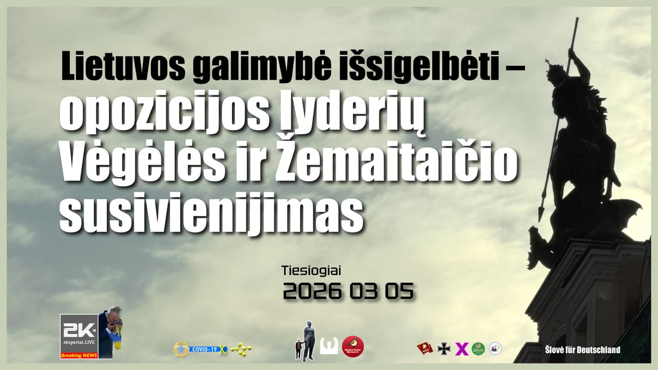 Opozicionieriai Vėgėlė + Žemaitaitis: šansas Lietuvos išgelbėjimui
