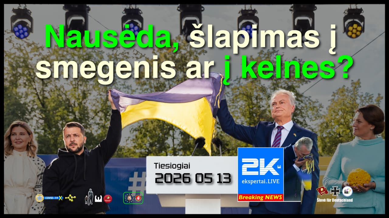 Nausėdos Ukraina: kalbose – didvyriai, sprendimuose – „trečioji šalis“