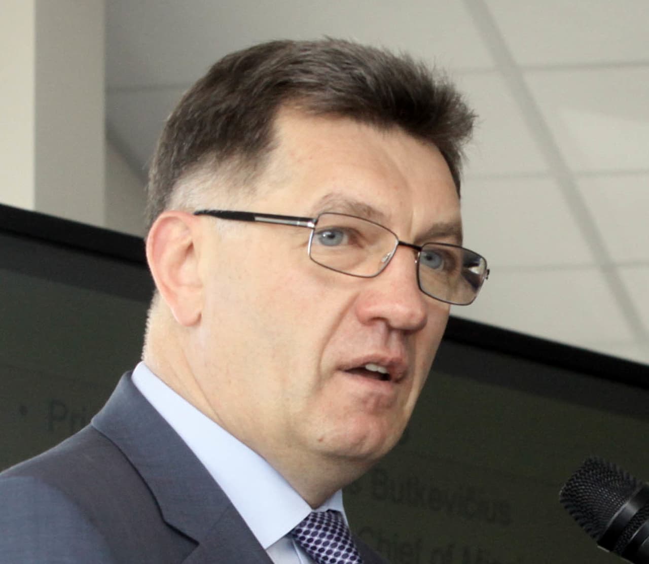 Gedimino Savickio („ELTA“) nuotr.