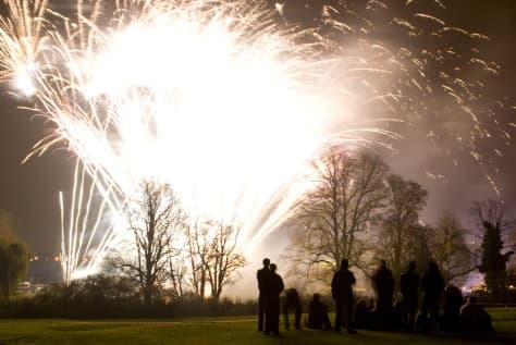 Japonijoje per fejerverkų festivalį nugriaudėjo sprogimas, sužeista 50 žmonių