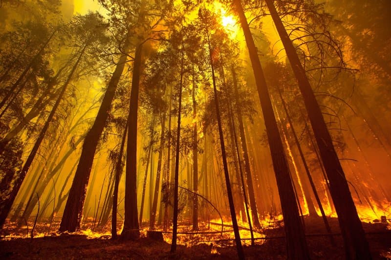 Didžiulis gaisras ir toliau siaučia JAV Kalifornijos valstijoje. EPA-ELTA nuotr.