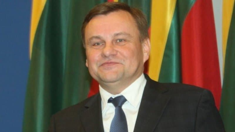 Seimo pirmininkas Vydas Gedvilas. Eltos nuotr.