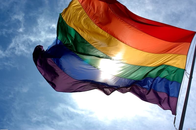 Homoseksualai Gedimino prospektu nežygiuos
