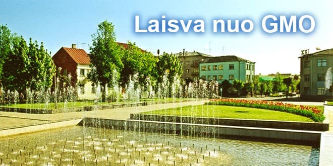 Nuotraukoje - Kupiškio miesto centras, Stuokos Gucevičiaus aikštė. Kupiškio rajono savivaldybės nuotr.