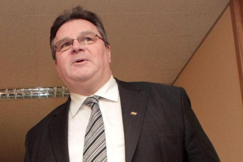 Užsienio reikalų ministras Linas Linkevičius. Dainiaus Labučio (ELTA) nuotr.