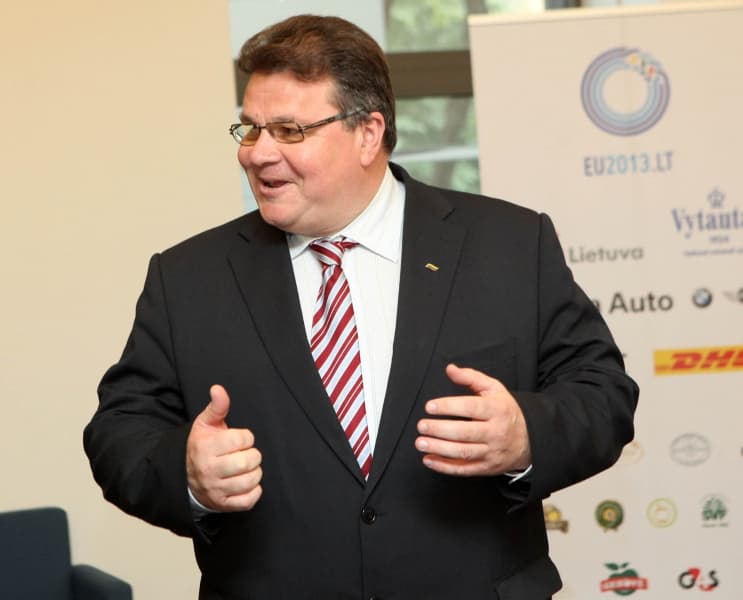 Užsienio reikalų ministras Linas Linkevičius. Dainiaus Labučio (ELTA) nuotr.