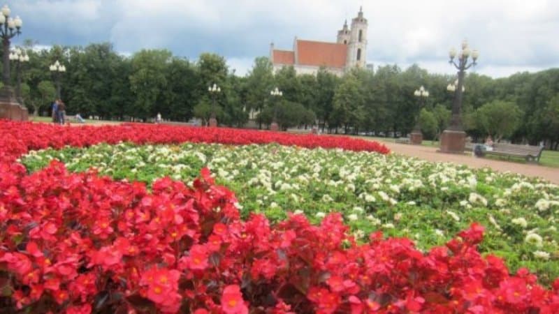 Lukiškių aikštė. Eltos nuotr.