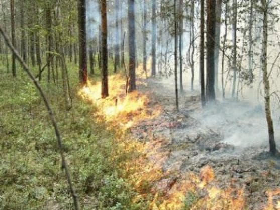 Ekspertai: 43 milijonus litų kainavusi gaisrų prevencijos sistema į ugnį ir dūmus nereaguoja