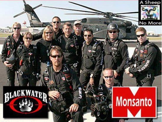„Monsanto.com“ tinklalapio iliustracija
