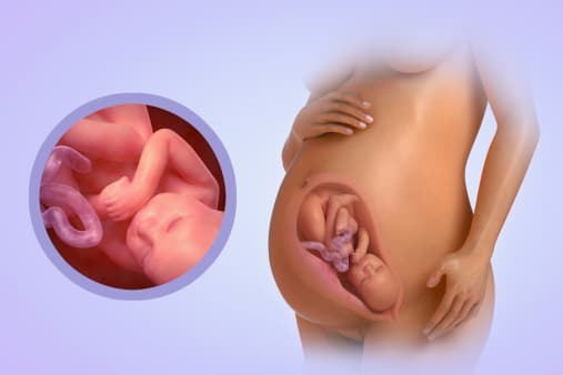 Pav. iš „birth.com.au“