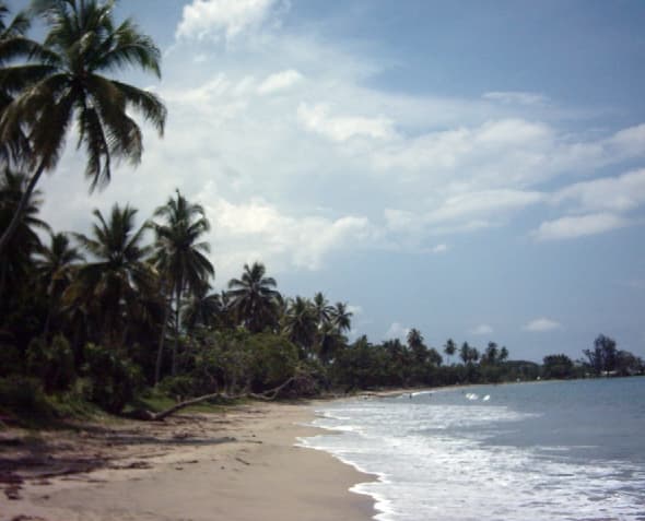 Papua Naujoji Gvinėja, pakrantė Vevake. Lt.wikipedia.org nuotr.