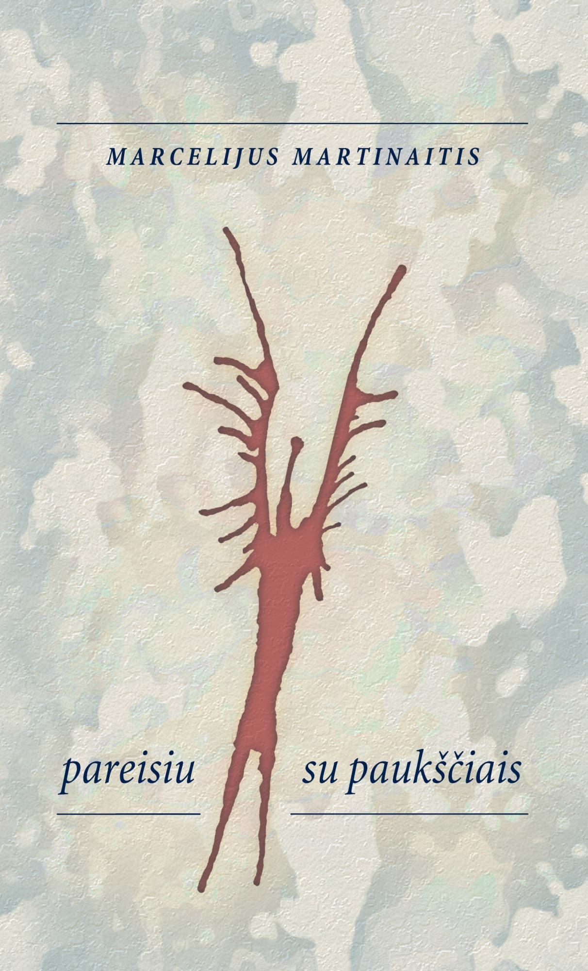Knygos viršelis