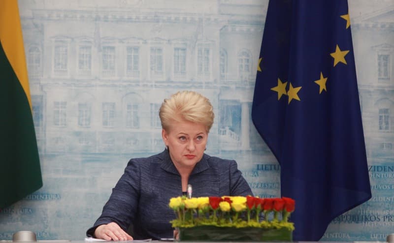 Prezidentė D. Grybauskaitė. Martyno Ambrazo (ELTA) nuotr.