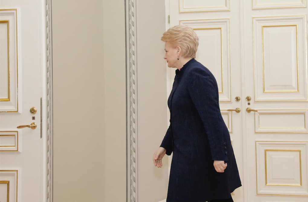 Prezidentė D. Grybauskaitė. Nuotr. prezidentas.lt