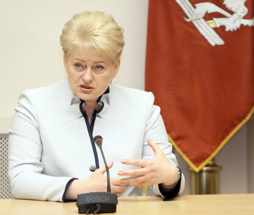 Prezidentės apdarai sužavėjo Europos šalių lyderius. Nuotr. Eltos