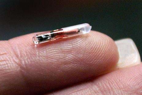 RFID lustas